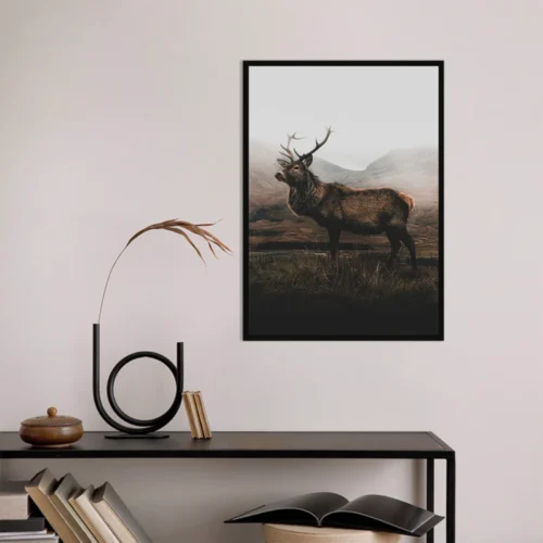 Quadro Touba