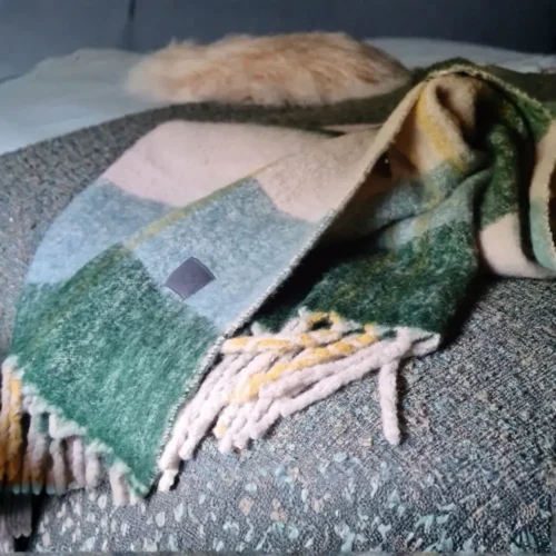 Plaid Mod. Magdeline